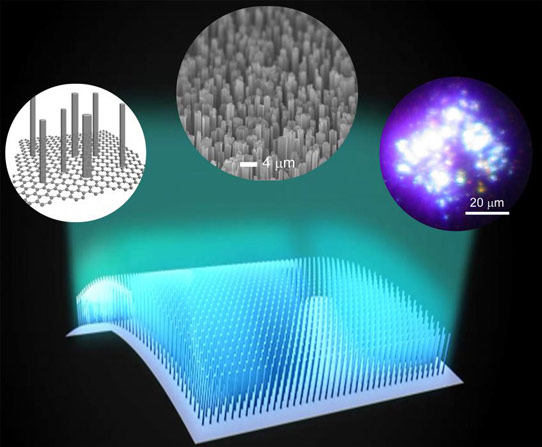 A rendering of the micro-rod growth process. Credit: Seoul National University. 