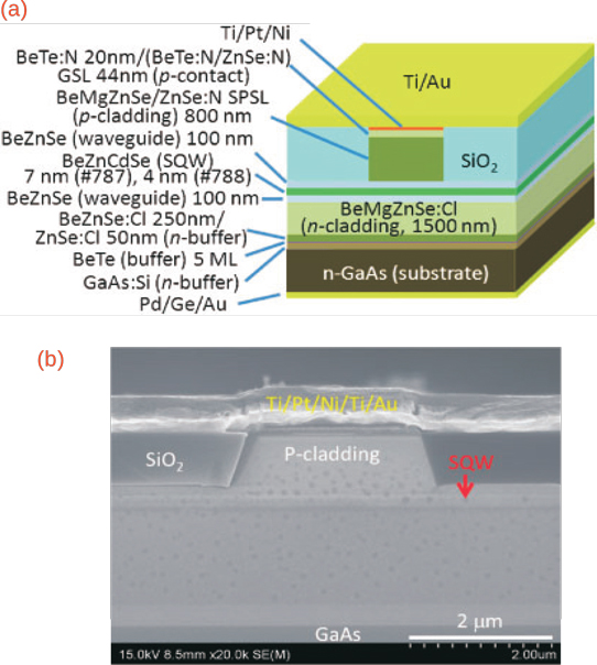 Figure 1: (a) Schematic diagram of yellow laser diode. (b) Cross-sectional scanning electron microscopy image of fabricated #787 LD (2μm wide).
