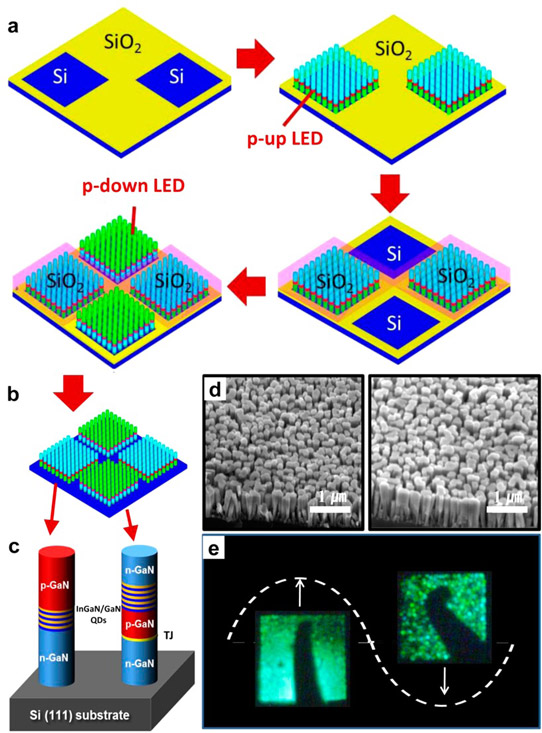 Figure 2: (a) Two-step selective-area growth of p-GaN up and p-GaN down AC nanowire LEDs on Si substrate. (b, c) Device schematics. (d) Scanning electron micrographs (45° tilted) of as-grown p-GaN up and p-GaN down nanowire LED structures. (e) Optical image of green-light-emitting nanowire LED arrays on Si under AC biasing conditions.
