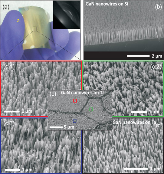 (a) GaN nanowires on flexible Ti foil (the inset shows a reflection high-energy electron diffraction (RHEED) pattern of nanowires on Ti foil) and scanning electron microscope (SEM) images of GaN nanowires on (b) silicon single-crystal (111) substrate, (c) different grains in the Ti foil, and (d) Ta foil.