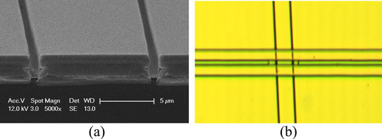 Figure 1: (a) Cross-sectional and (b) top views of trenches in fabricated device.