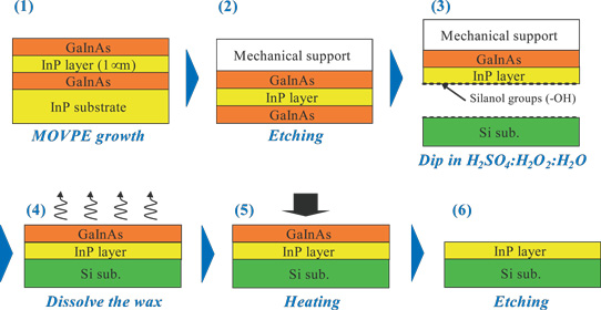 Figure 1: Schematic of InP/Si fabrication process.