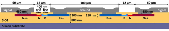 Figure 2: Transversal view of silicon MZM. 