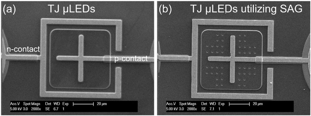 Figure 2: Scanning electron microscope images of fabricated 60 μmx60μm (a) InGaN TJ μLEDs and (b) SAG InGaN TJ μLEDs.