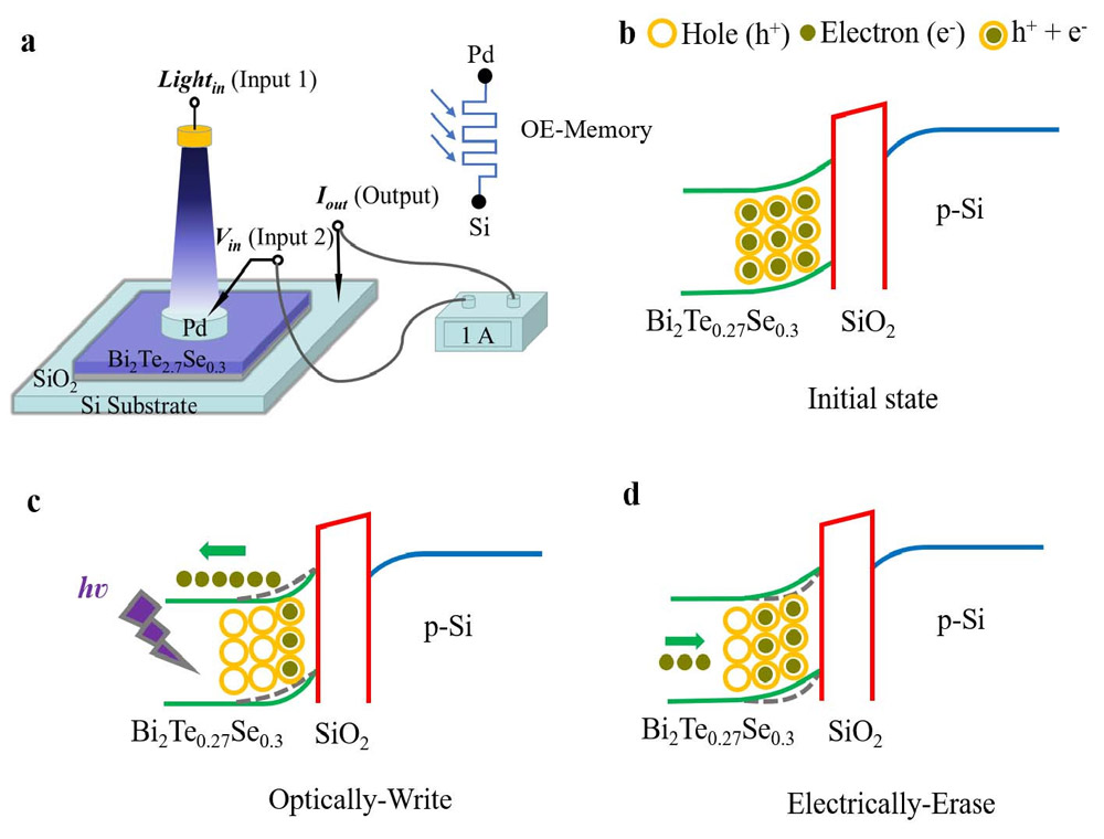 Figure 1: (a) Schematic illustration of Pd/Bi2Te2.7Se0.3/SiO2/Si device. Band diagrams of (b) initial state, (c) and under optical writing and (d) electrical erasing conditions.