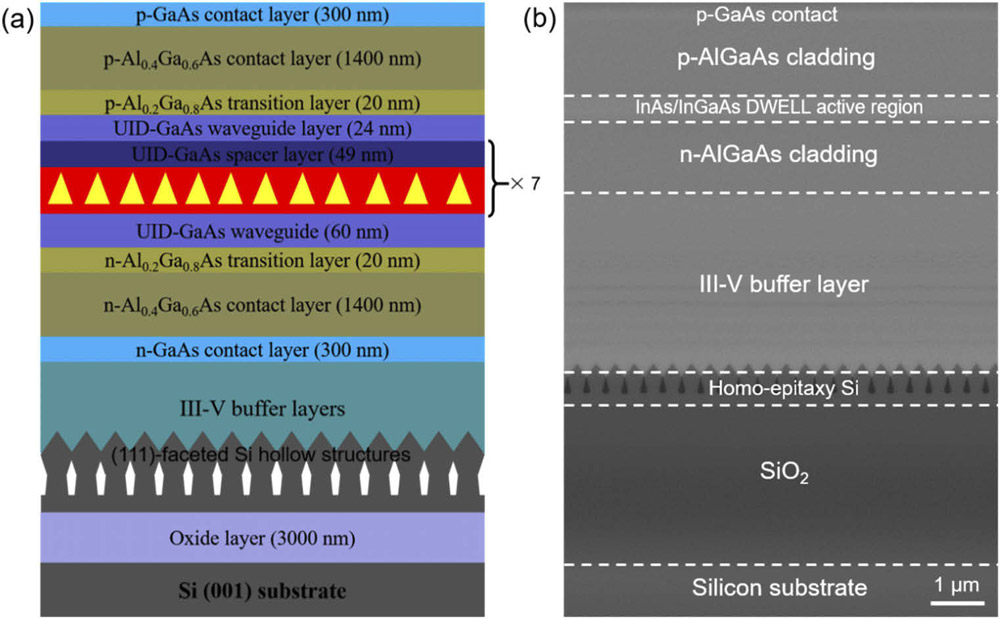 Figure 1: Schematic (a) and scanning electron microscope image (b) cross sections of InAs QD laser structure on SOI substrate.