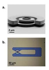 Figure 1: (a) Scanning electron micrograph of UTC-PD following isolation mesa formation; (b) top-view microscope image of completed device with coplanar waveguide probe pads.