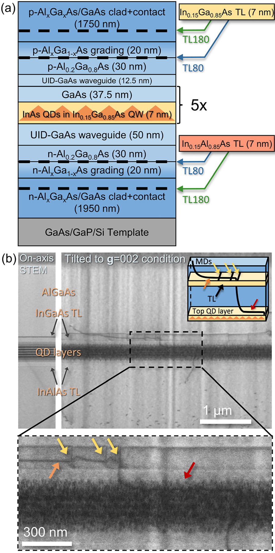 Figure 1: (a) Schematic No-TL laser structure indicating where trapping layers were inserted in TL80 and TL180 structures. (b) Cross-sectional STEM image of TL180 laser structure along [110] zone axis (left) and tilted into a g = 002 diffraction condition (right). Outset: high-magnification image of dashed region. TD rises through QD layers and forms short MD segment (red arrow) and trapped MD (orange arrow) segment at upper TL. Yellow arrows mark several perpendicular MDs lying along upper trapping layer, appearing as short vertical segments in projection, as indicated in the inset schematic.