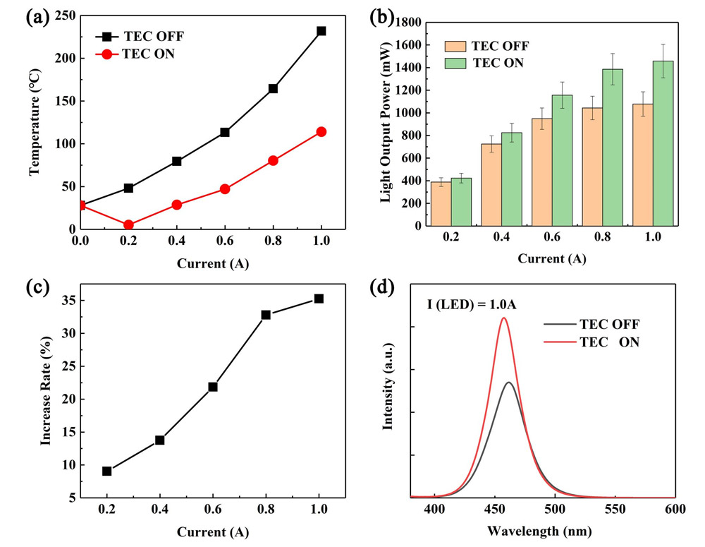 thermoelectric/LED assembly