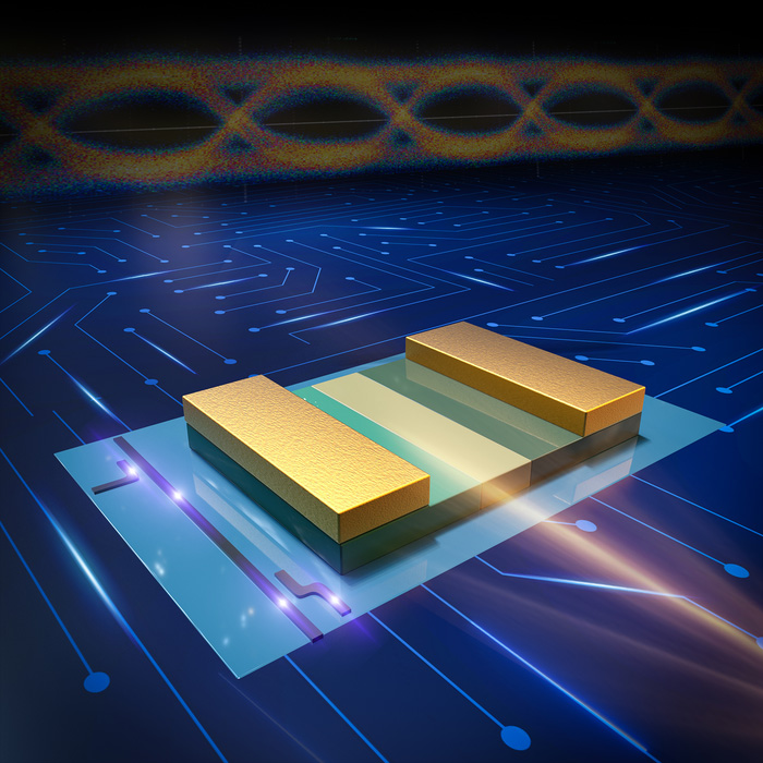 Fabricated high-performance III-V photodetector on a monolithic InP/SOI platform for application in silicon photonics (courtesy of Hong Kong University of Science and Technology). 