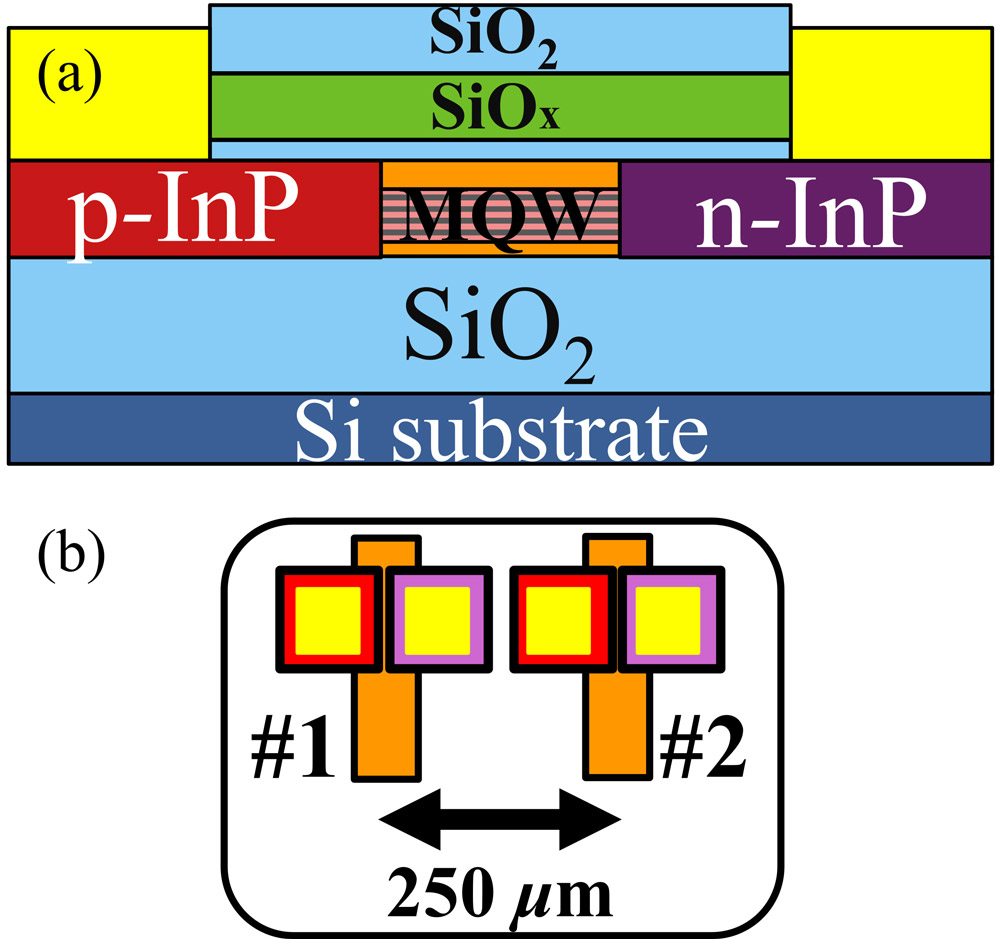 Figure 2: Fabricated laser array structure: (a) cross section; (b) two-channel laser array chiplet.