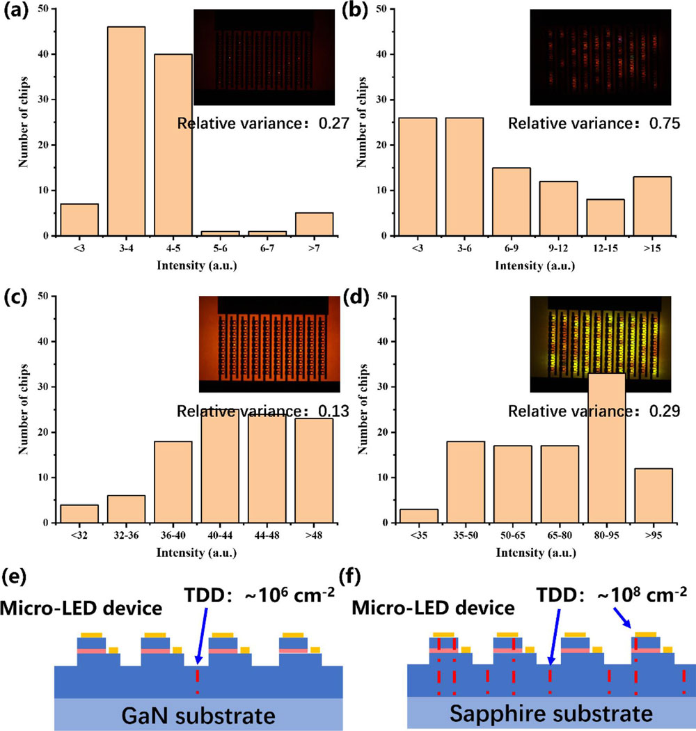 Figure 2: (a)–(d) The brightness distribution of 10x10 arrays of 1μm micro-LEDs under different conditions. (a) Sample A and (b) sample B at 10A/ cm2. (c) Sample A and (d) sample B at 100A/ cm2. Insets: electroluminescence (EL) photos at corresponding current density. (e) and (f) Schematic diagrams of micro-LED chips on different substrates according to defect densities.