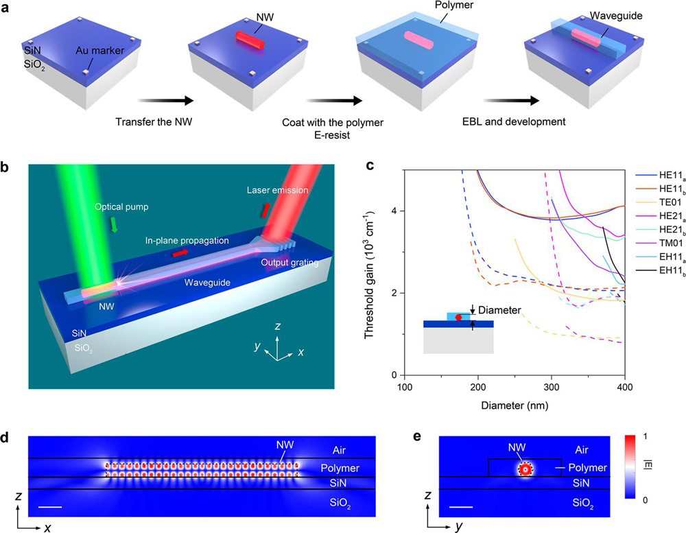 Figure 1: (a) Integration process flow for nanowire laser embedded in hybrid polymer-SiN waveguide. (b) InP nanowire laser integrated with hybrid polymer-SiN waveguide. (c) Threshold gain in air (dashed lines) of different guided modes and embedded in hybrid waveguide (solid lines) versus nanowire diameter with inset cross-section. (d) and (e) xz and yz plane cross-sections, respectively, of electric field distribution of TE01 resonant mode supported by nanowire laser (4.47μm length, 310nm diameter). Scale bars: 500nm. 