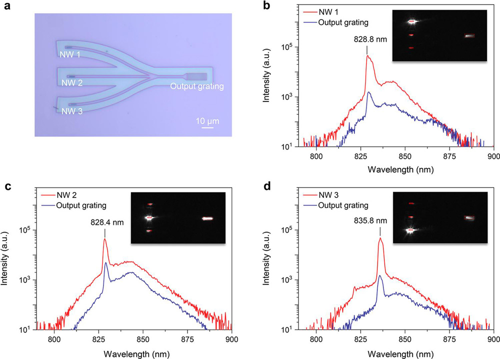 Figure 2: (a) Optical microscope image of wavelength multiplexer integrated with three nanowires. (b-d). Spectra collected from nanowires and output grating under excitations on NW 1 (b), NW 2 (c), and NW 3 (d) above lasing threshold, respectively, with inset panchromatic images. 