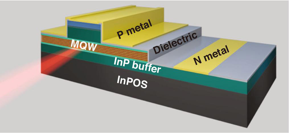 Figure 3: Ridge-waveguide laser scheme.