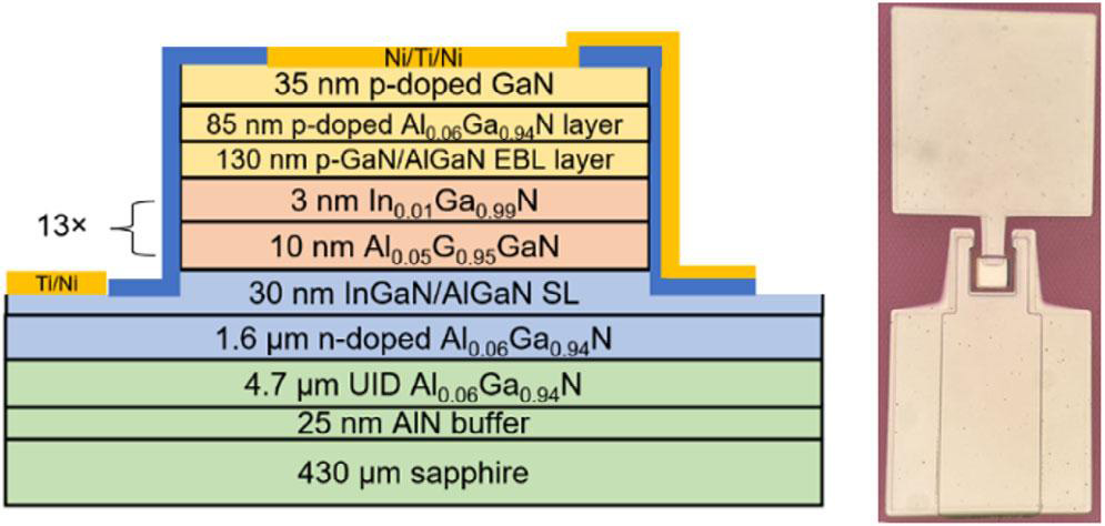 Figure 1: Cross-sectional schematic of UV-A LED with optical microscope image. 