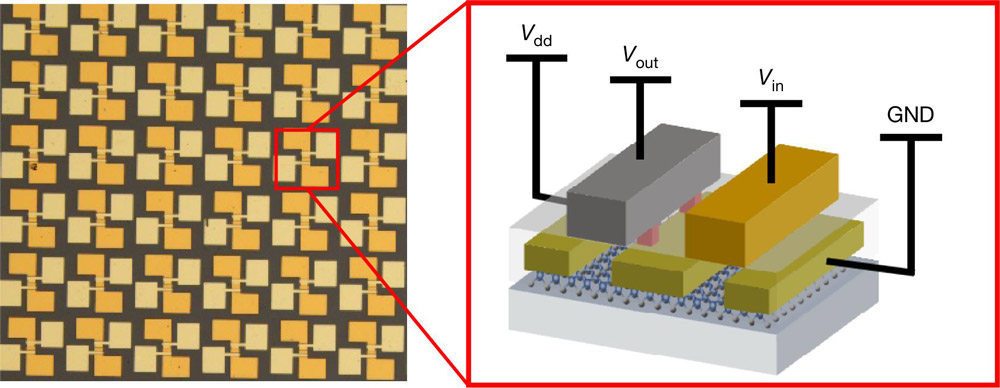 Figure 1: Transistor scheme for enhancement- and-depletion-mode inverter.
