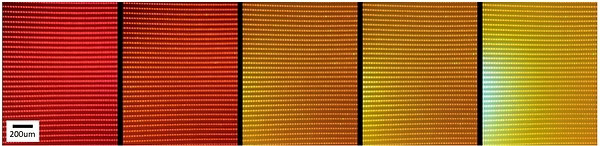 Prototype panel demonstration of Q-Pixel’s proprietary micro-LED transfer process (Q-Transfer) using 10μm tunable polychromatic LED (TP-LED) pixels, yielding >500PPI displays with zero missing pixels (>99.9995% yield). 