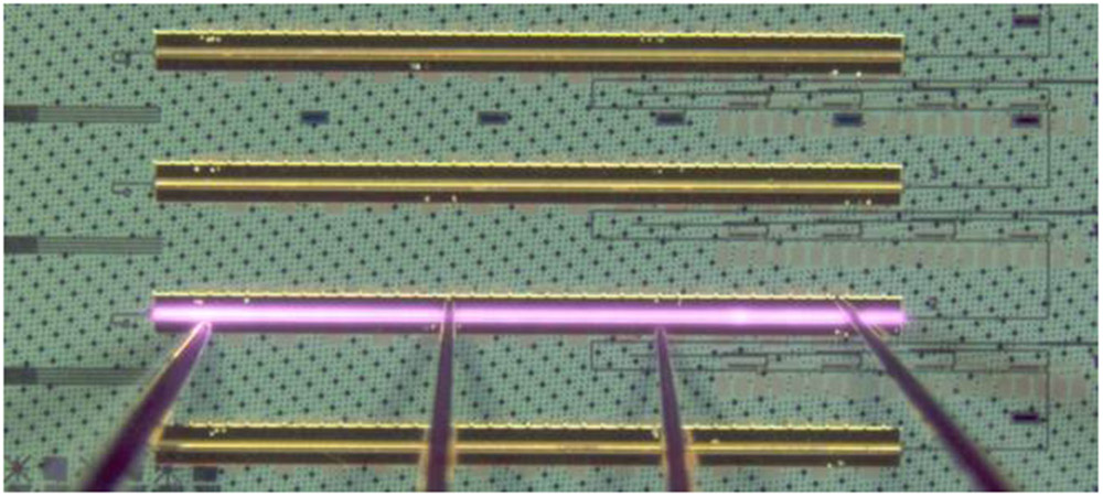 Quantum dot DBR lasers monolithically integrated on silicon photonics by in-pocket heteroepitaxy.