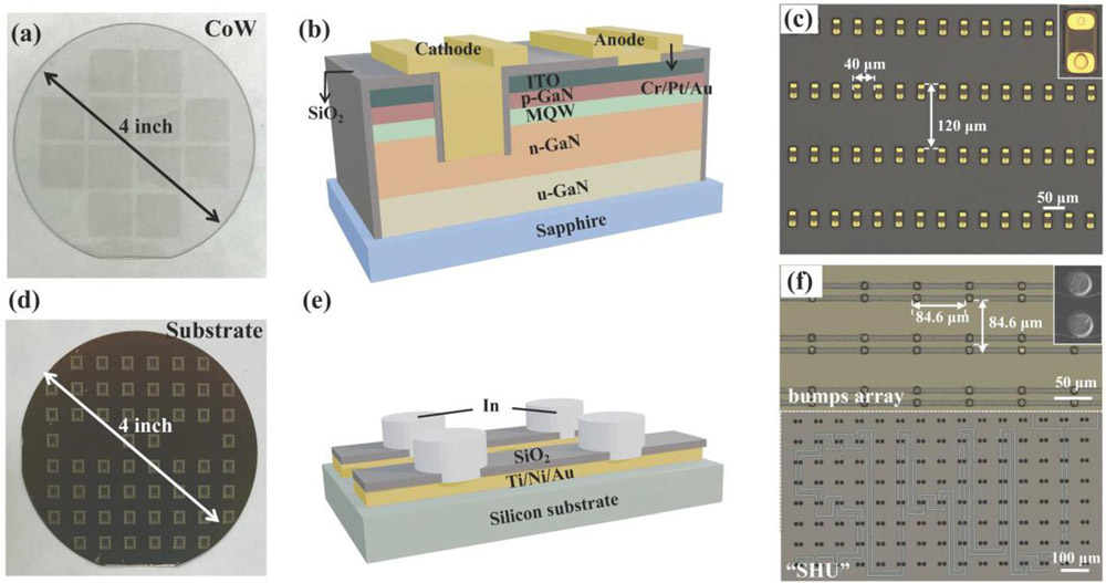 Figure 1: Diagrams of (a) chip-on-wafer (CoW) micro-LED source and (d) target substrate. (b) Micro-LED structure and (e) indium bumps on silicon substrate. Optical images of (c) micro-LED array on sapphire, and (f) indium bump array on silicon, substrates. 