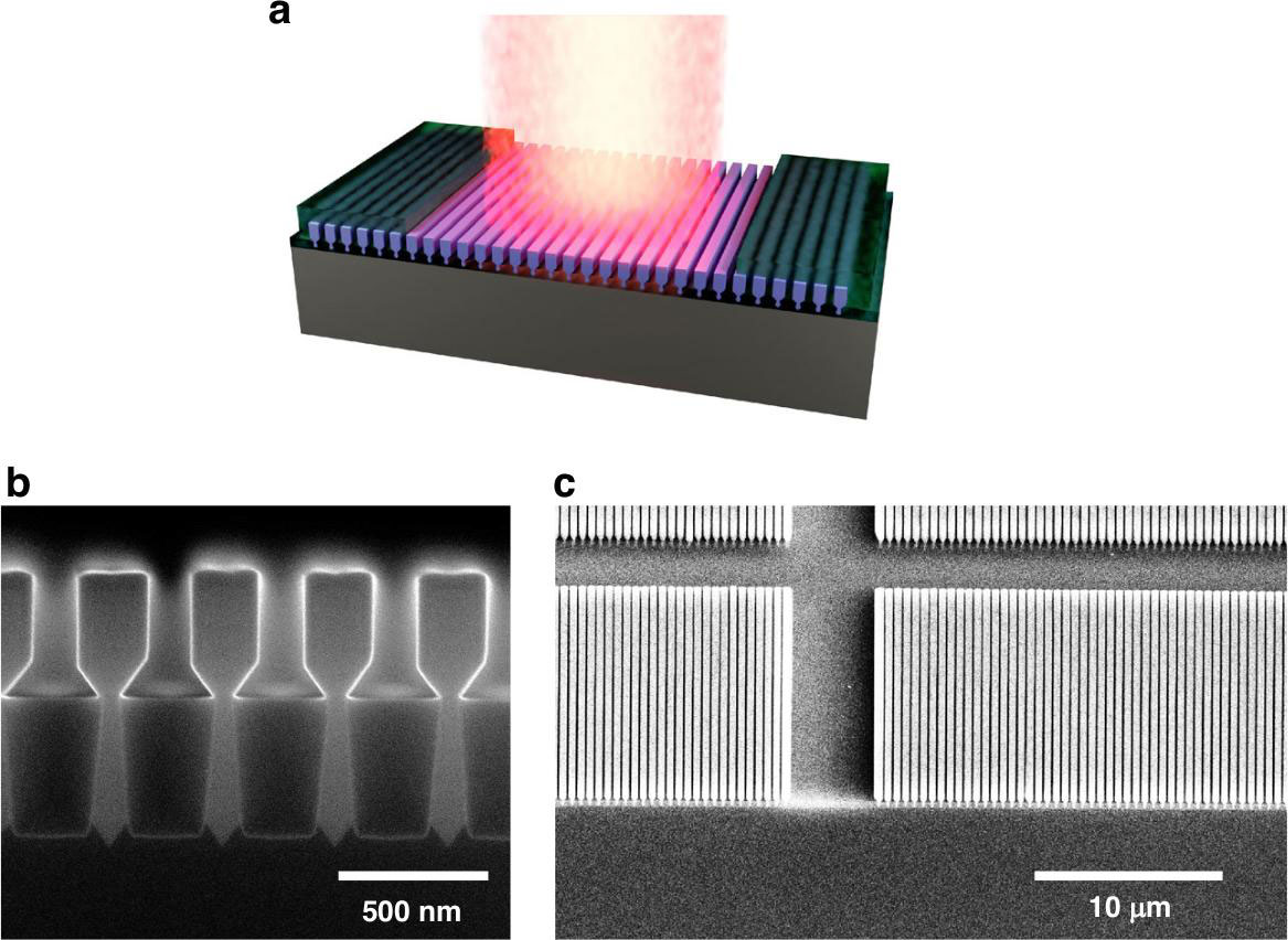 Figure 1: a NRSEL system. b Scanning electron microscope (SEM) cross section of cleaved array of nano-ridges. c Top-view SEM image of arrays of nano-ridges on silicon wafer