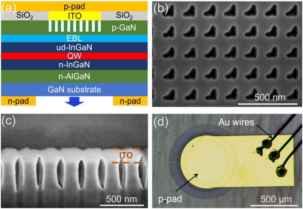 Figure 1: (a) Schematic diagram of GaN PCSEL. White bars represent air holes of PhC. (b) Scanning electron microscope (SEM) image of square lattice with air holes. (c) Cross-sectional SEM image after ITO deposition. (d) Top-view microscopy image of finished device.