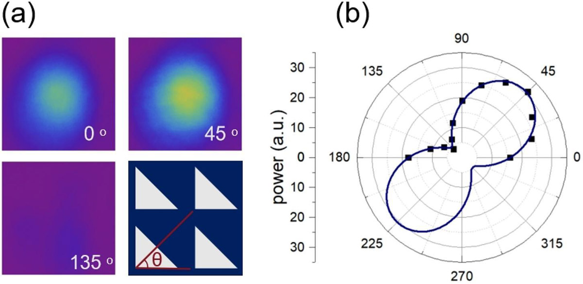 Figure 3: Far-field pattern and polarization characteristics at 21.4A (7.56kA/cm2): (a) contour plots with polarization filter at different angles θ. (b) Polar plot of light power versus polarization angle. Blue line represents best-fit sinusoidal curve.