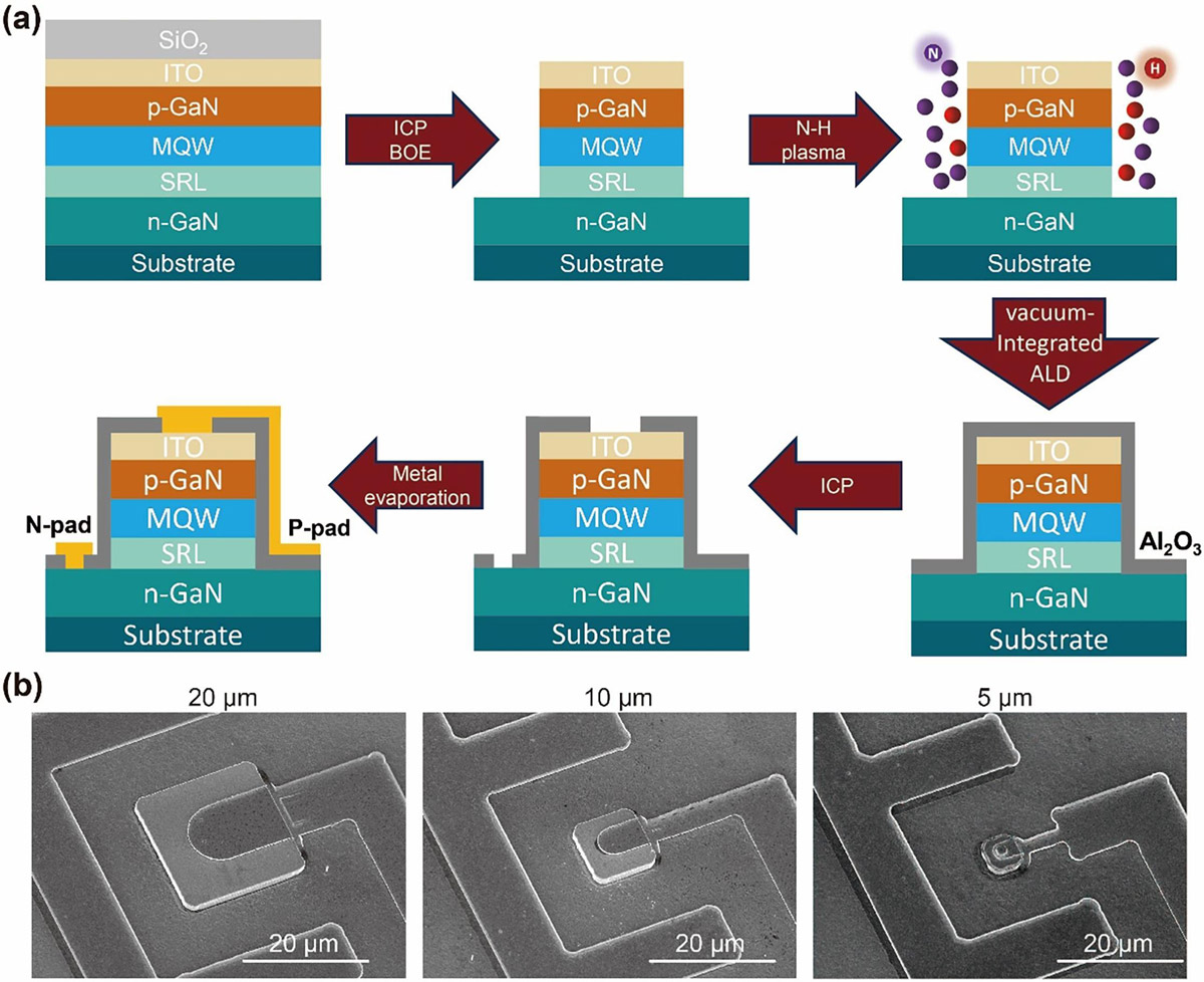 Figure 1: (a) Fabrication process for micro-LED chip arrays. (b) SEM images of micro-LED chips with various sizes.
The device mesa was etched by inductively coupled plasma (ICP) with a silicon dioxide (SiO2) layer used as a mask. The mask was removed by buffered oxide etching (BOE).