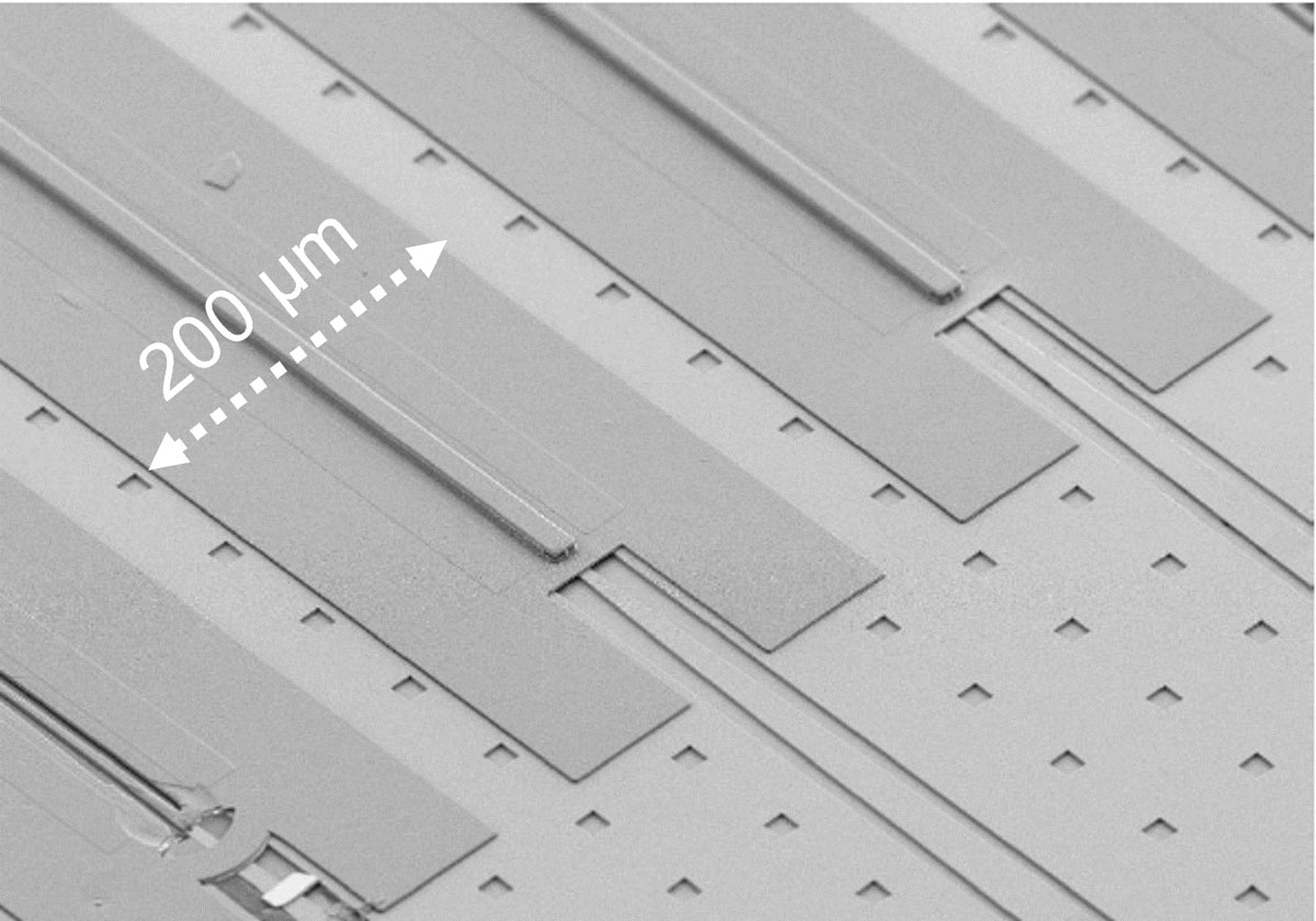 III-V/Si distributed feedback QCL. Credit: Maxime Lepage. 