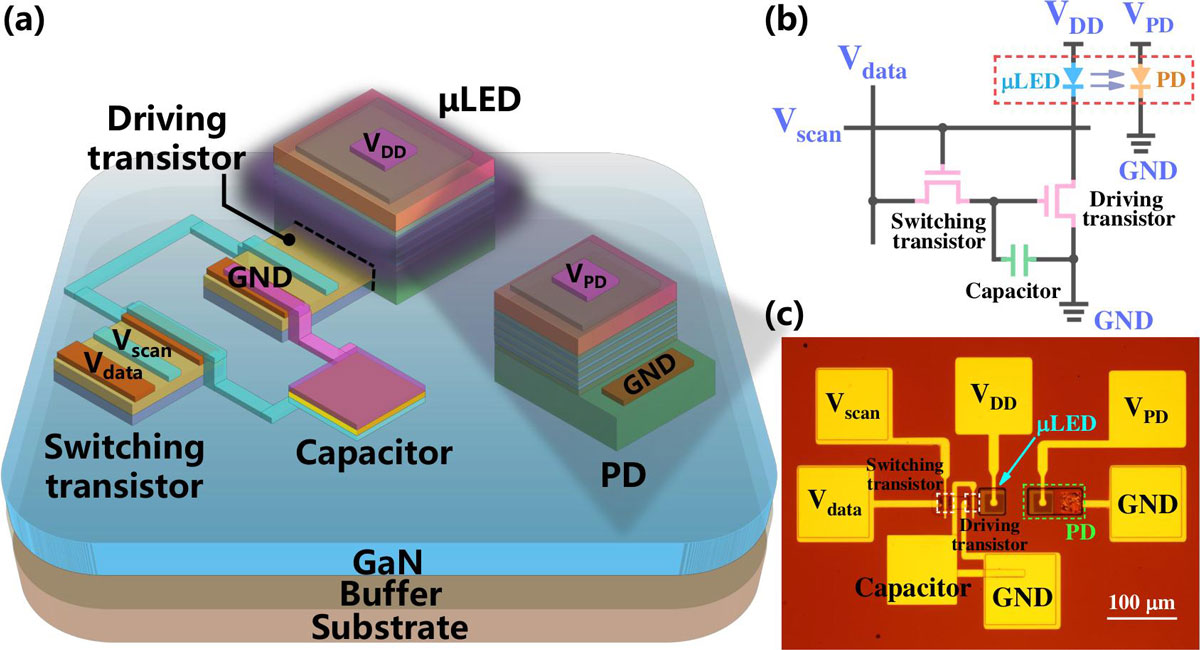 Figure 1: (a) Schematic, (b) equivalent circuit, and (c) microscope image of monolithically integrated all-GaN 2T1C-μLED–PDs.
