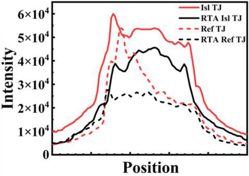 Figure 2: Line-scan intensity profiles.