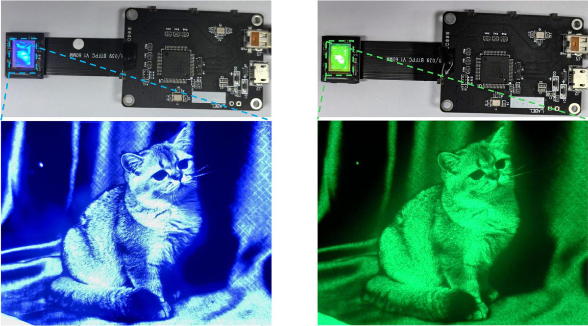 Figure 4: Blue (left) and green (right) monochrome 0.39-inch microdisplay modules with real-world displayed images. Corresponding ‘cat videos’ can be seen in blue and green.